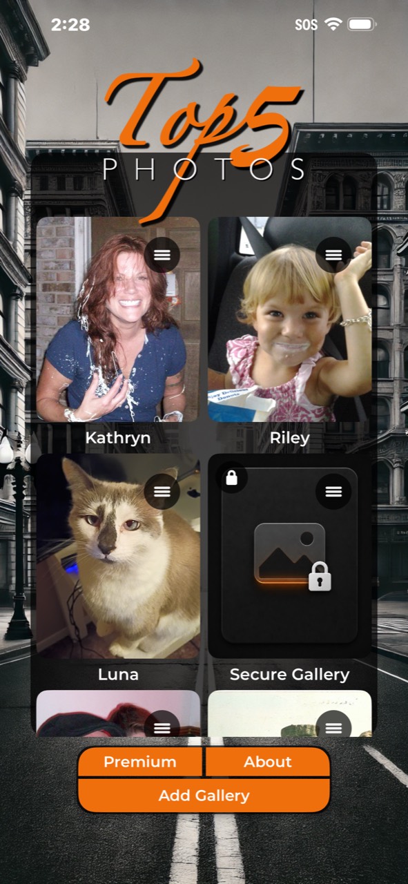 Top Five Photos showing galleries for Kathryn, Riley, Luna, and Secure Gallery